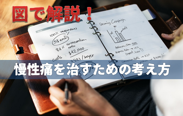 アイキャッチ|岡崎市