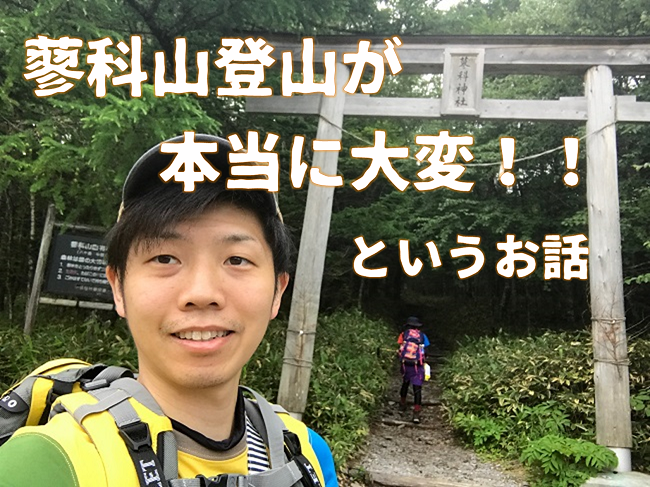 アイキャッチ|岡崎市