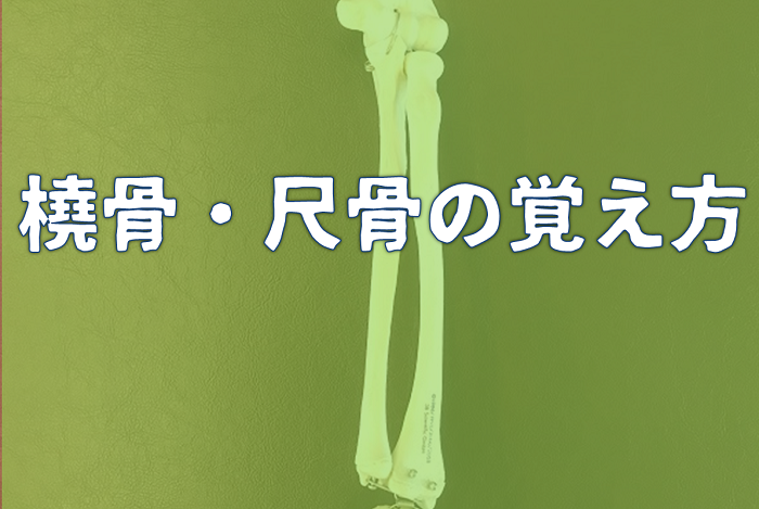 アイキャッチ|岡崎市