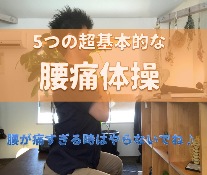 アイキャッチ|岡崎市