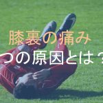 膝裏の痛みはどこから来るの!?  【膝裏問題4つの原因を教えます。】