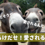 さらけだせ！愛されるぞ！
