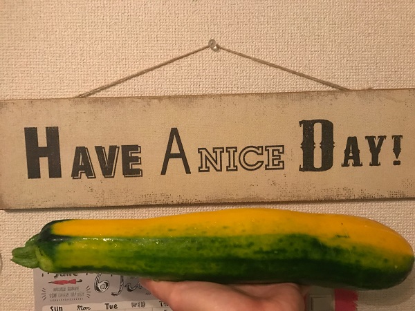 HAVE A NICE DAY｜岡崎市