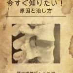 徹底解説！これが腰椎椎板ヘルニアの症状と治し方だ！