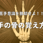 手の骨の覚え方！これであなたも苦手意識を克服だ！