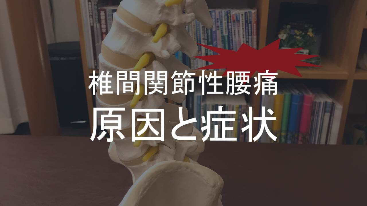 椎間関節性腰痛アイキャッチ