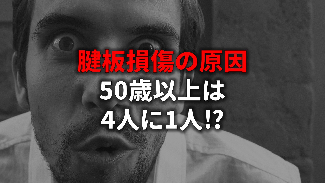 腱板損傷とはインナーマッスルの損傷 原因は 劣化 と 体幹の硬さ にあった ゼンブログ 長野市の 理学療法士 による整体ブログ