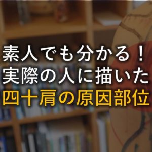 四十肩の原因部位アイキャッチ