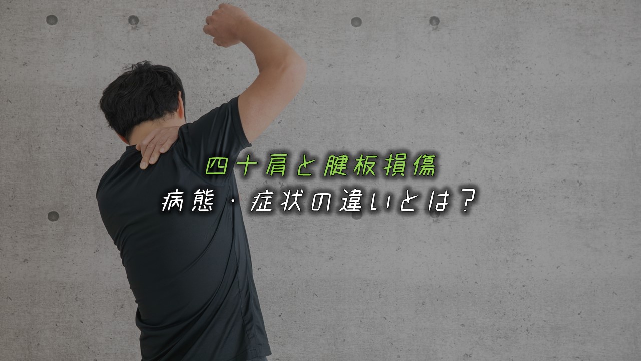 同じ肩の痛みでも「四十肩」と「腱板損傷」は何が違うの？ 『柔YAWARA』理学療法士の肩こり・腰痛・膝痛専門メディア